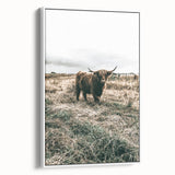 Farmhouse Wall Art - Highland Cow in Rustic Field for Country Decor