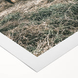 Farmhouse Wall Art - Highland Cow in Rustic Field for Country Decor