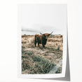 Farmhouse Wall Art - Highland Cow in Rustic Field for Country Decor