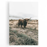 Farmhouse Wall Art - Highland Cow in Rustic Field for Country Decor