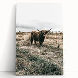 Farmhouse Wall Art - Highland Cow in Rustic Field for Country Decor