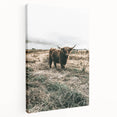 Farmhouse Wall Art - Highland Cow in Rustic Field for Country Decor