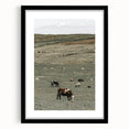 Farmhouse Wall Art - Rolling Hills with Grazing Cattle for Rustic Decor