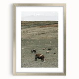 Farmhouse Wall Art - Rolling Hills with Grazing Cattle for Rustic Decor