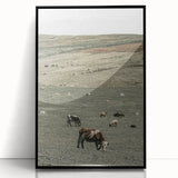 Farmhouse Wall Art - Rolling Hills with Grazing Cattle for Rustic Decor