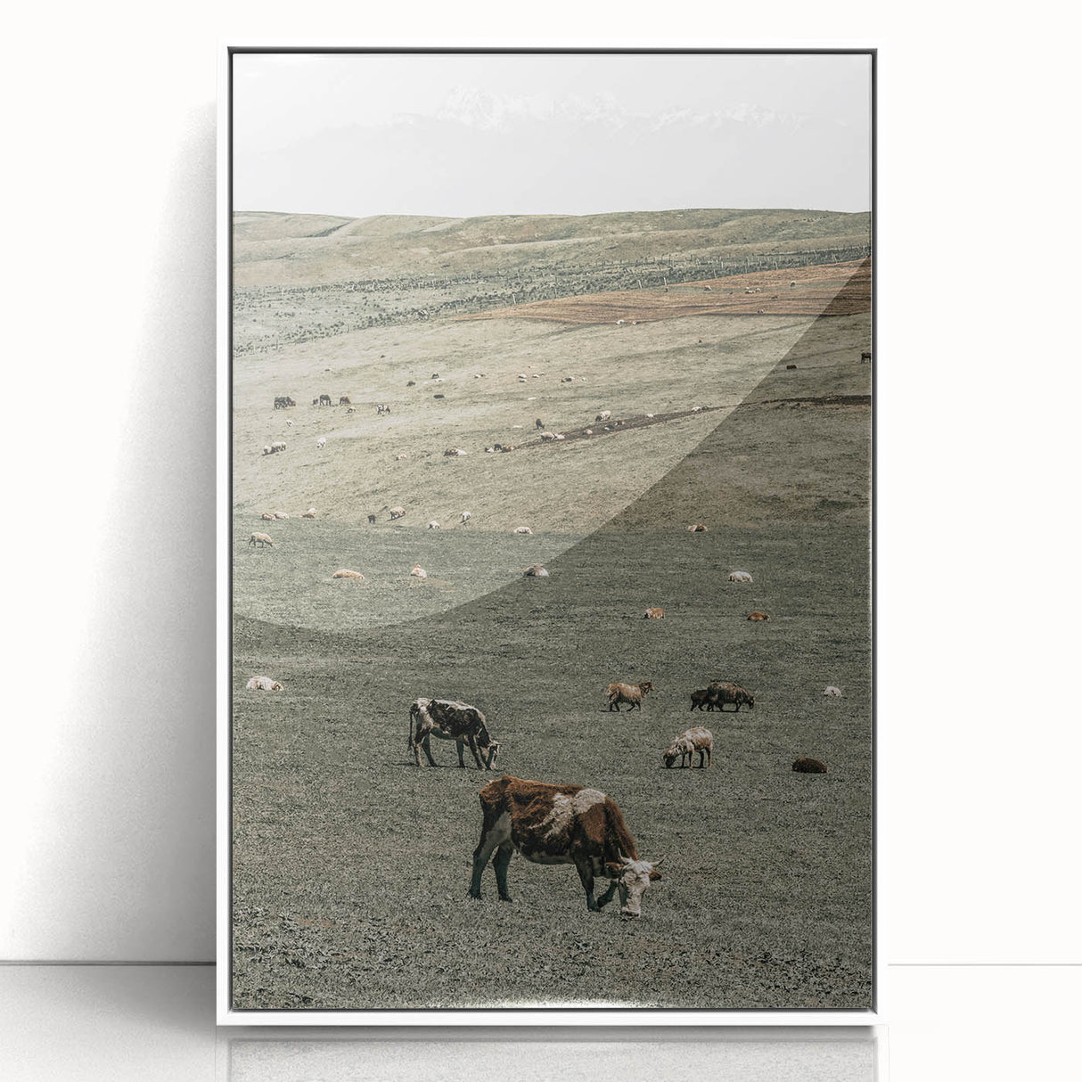 Farmhouse Wall Art - Rolling Hills with Grazing Cattle for Rustic Decor
