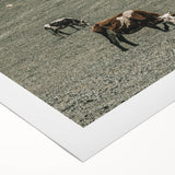 Farmhouse Wall Art - Rolling Hills with Grazing Cattle for Rustic Decor