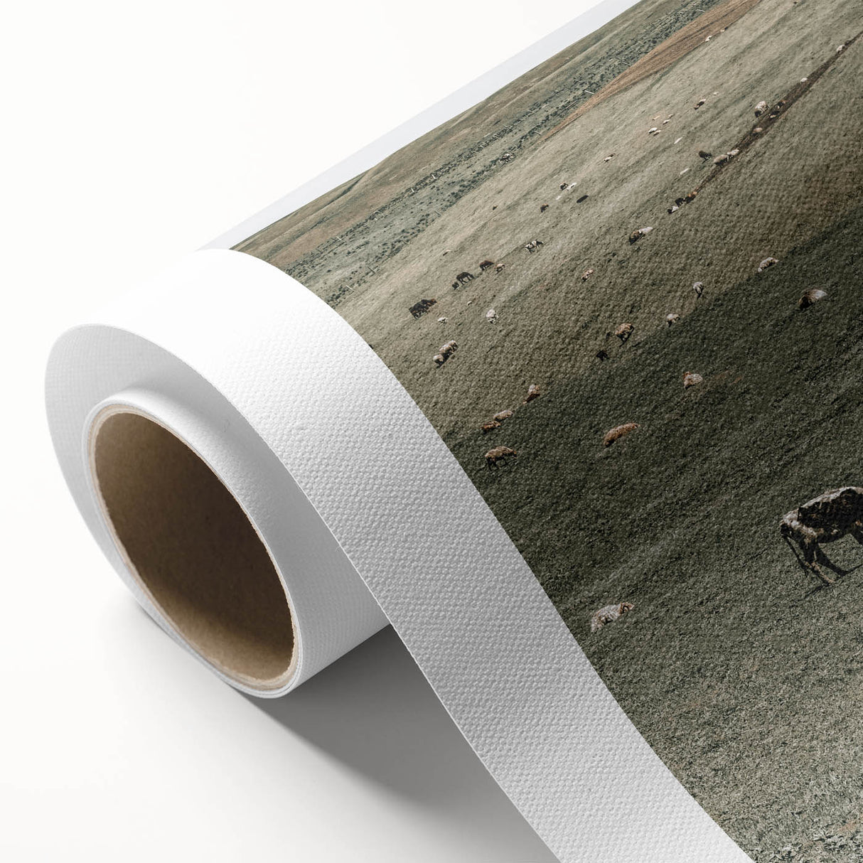 Farmhouse Wall Art - Rolling Hills with Grazing Cattle for Rustic Decor