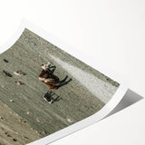 Farmhouse Wall Art - Rolling Hills with Grazing Cattle for Rustic Decor