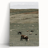 Farmhouse Wall Art - Rolling Hills with Grazing Cattle for Rustic Decor