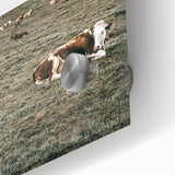 Farmhouse Wall Art - Serene Pasture with Resting Cattle for Country Decor