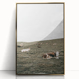 Farmhouse Wall Art - Serene Pasture with Resting Cattle for Country Decor