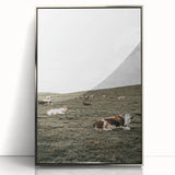 Farmhouse Wall Art - Serene Pasture with Resting Cattle for Country Decor