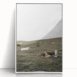 Farmhouse Wall Art - Serene Pasture with Resting Cattle for Country Decor