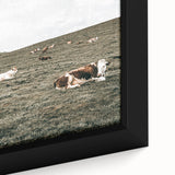 Farmhouse Wall Art - Serene Pasture with Resting Cattle for Country Decor