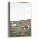 Farmhouse Wall Art - Serene Pasture with Resting Cattle for Country Decor