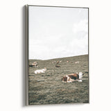 Farmhouse Wall Art - Serene Pasture with Resting Cattle for Country Decor