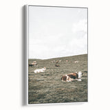 Farmhouse Wall Art - Serene Pasture with Resting Cattle for Country Decor