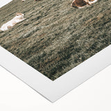 Farmhouse Wall Art - Serene Pasture with Resting Cattle for Country Decor