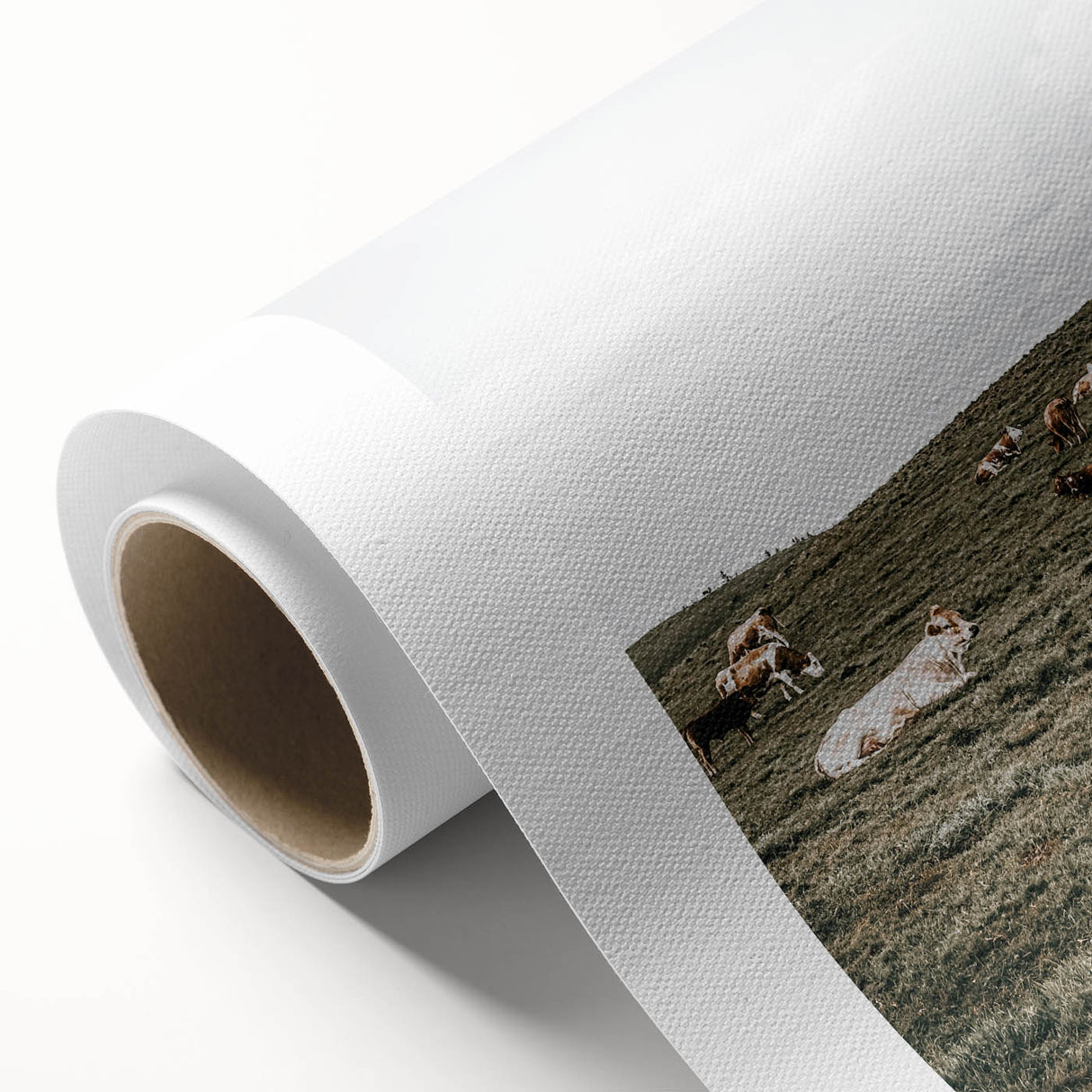 Farmhouse Wall Art - Serene Pasture with Resting Cattle for Country Decor