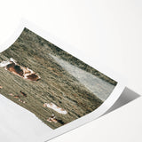 Farmhouse Wall Art - Serene Pasture with Resting Cattle for Country Decor