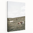 Farmhouse Wall Art - Serene Pasture with Resting Cattle for Country Decor