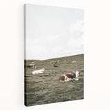 Farmhouse Wall Art - Serene Pasture with Resting Cattle for Country Decor
