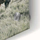 Farmhouse Wall Art - Rustic Cow in Lush Pasture for Country Decor