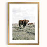 Farmhouse Wall Art - Rustic Cow in Lush Pasture for Country Decor