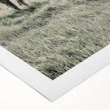 Farmhouse Wall Art - Rustic Cow in Lush Pasture for Country Decor