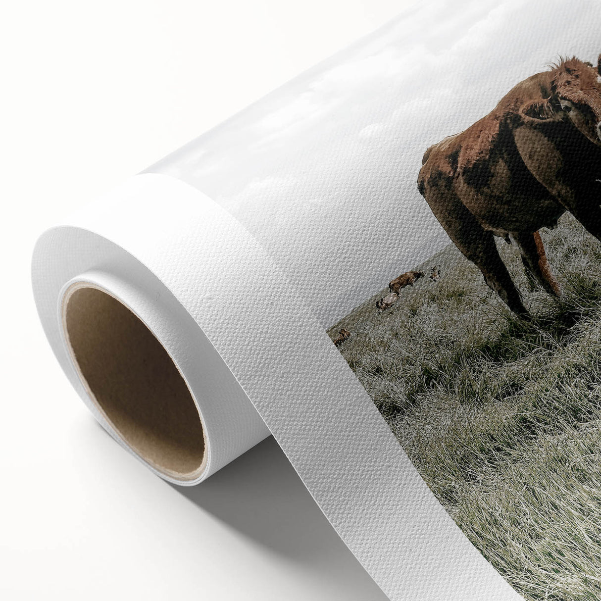 Farmhouse Wall Art - Rustic Cow in Lush Pasture for Country Decor