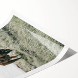 Farmhouse Wall Art - Rustic Cow in Lush Pasture for Country Decor