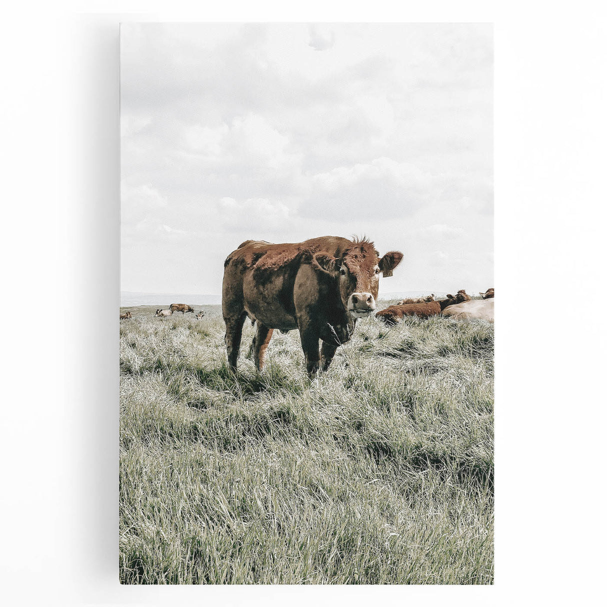 Farmhouse Wall Art - Rustic Cow in Lush Pasture for Country Decor