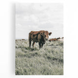 Farmhouse Wall Art - Rustic Cow in Lush Pasture for Country Decor