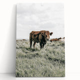 Farmhouse Wall Art - Rustic Cow in Lush Pasture for Country Decor