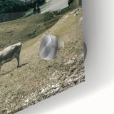 Farmhouse Wall Art - Tranquil Cow in Mountain Valley for Rustic Decor