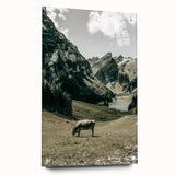 Farmhouse Wall Art - Tranquil Cow in Mountain Valley for Rustic Decor
