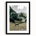 Farmhouse Wall Art - Tranquil Cow in Mountain Valley for Rustic Decor