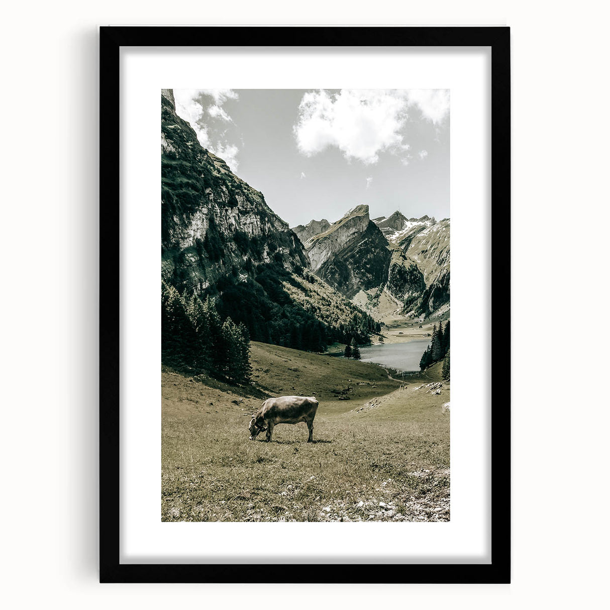 Farmhouse Wall Art - Tranquil Cow in Mountain Valley for Rustic Decor