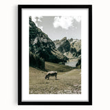 Farmhouse Wall Art - Tranquil Cow in Mountain Valley for Rustic Decor