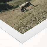 Farmhouse Wall Art - Tranquil Cow in Mountain Valley for Rustic Decor