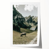Farmhouse Wall Art - Tranquil Cow in Mountain Valley for Rustic Decor
