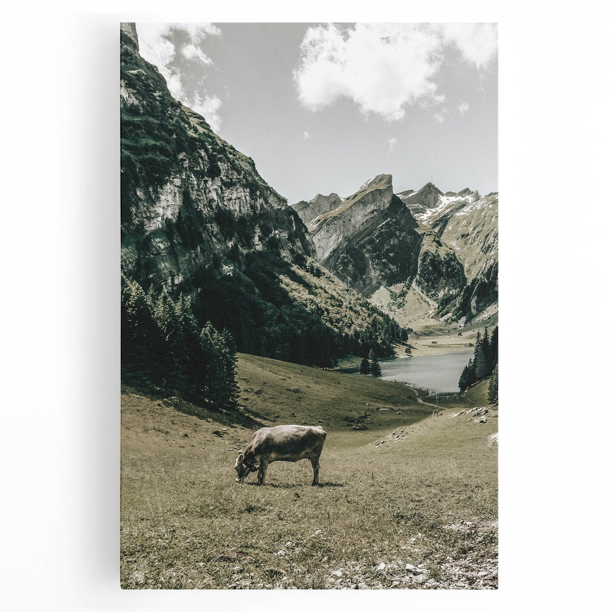 Farmhouse Wall Art - Tranquil Cow in Mountain Valley for Rustic Decor
