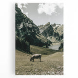Farmhouse Wall Art - Tranquil Cow in Mountain Valley for Rustic Decor