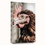 Farmhouse Wall Art - Rustic Close-Up of Chicken for Country Decor