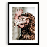 Farmhouse Wall Art - Rustic Close-Up of Chicken for Country Decor