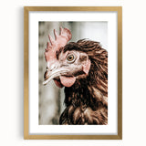 Farmhouse Wall Art - Rustic Close-Up of Chicken for Country Decor