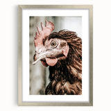 Farmhouse Wall Art - Rustic Close-Up of Chicken for Country Decor