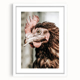 Farmhouse Wall Art - Rustic Close-Up of Chicken for Country Decor