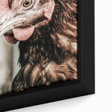 Farmhouse Wall Art - Rustic Close-Up of Chicken for Country Decor